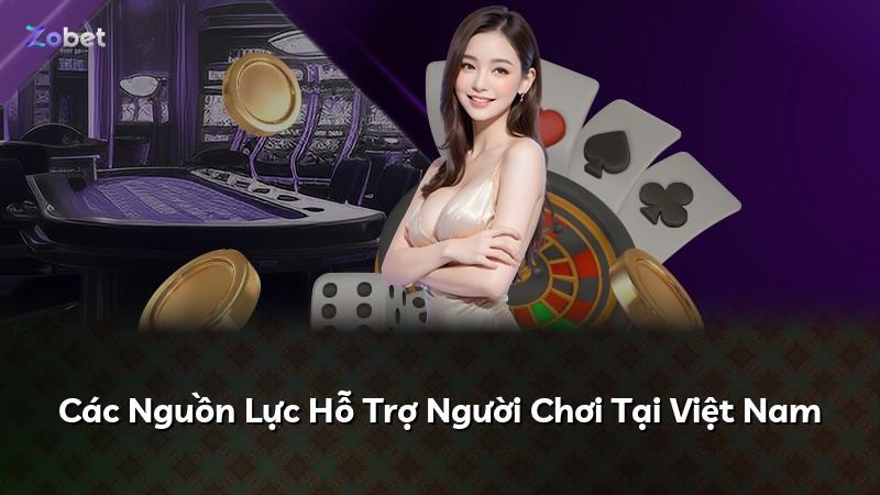 Các Nguồn Lực Hỗ Trợ Người Chơi Tại Việt Nam