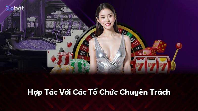 Hợp Tác Với Các Tổ Chức Chuyên Trách