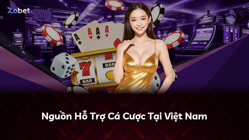 Nguồn Hỗ Trợ Cá Cược Tại Việt Nam